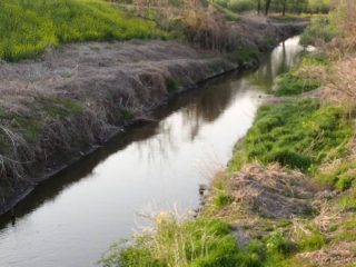 多々良川で女性の遺体が発見される事件から丸2年が経過しました