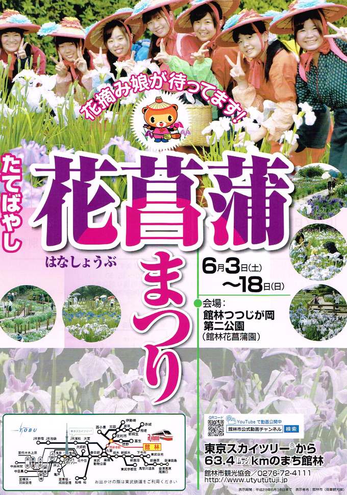 6月3日から花菖蒲まつり開催 館林くらし 6月3日から花菖蒲まつり開催 館林くらし