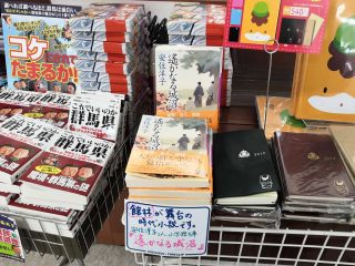 館林藩が舞台の時代小説『遥かなる城沼』文庫版が発売!