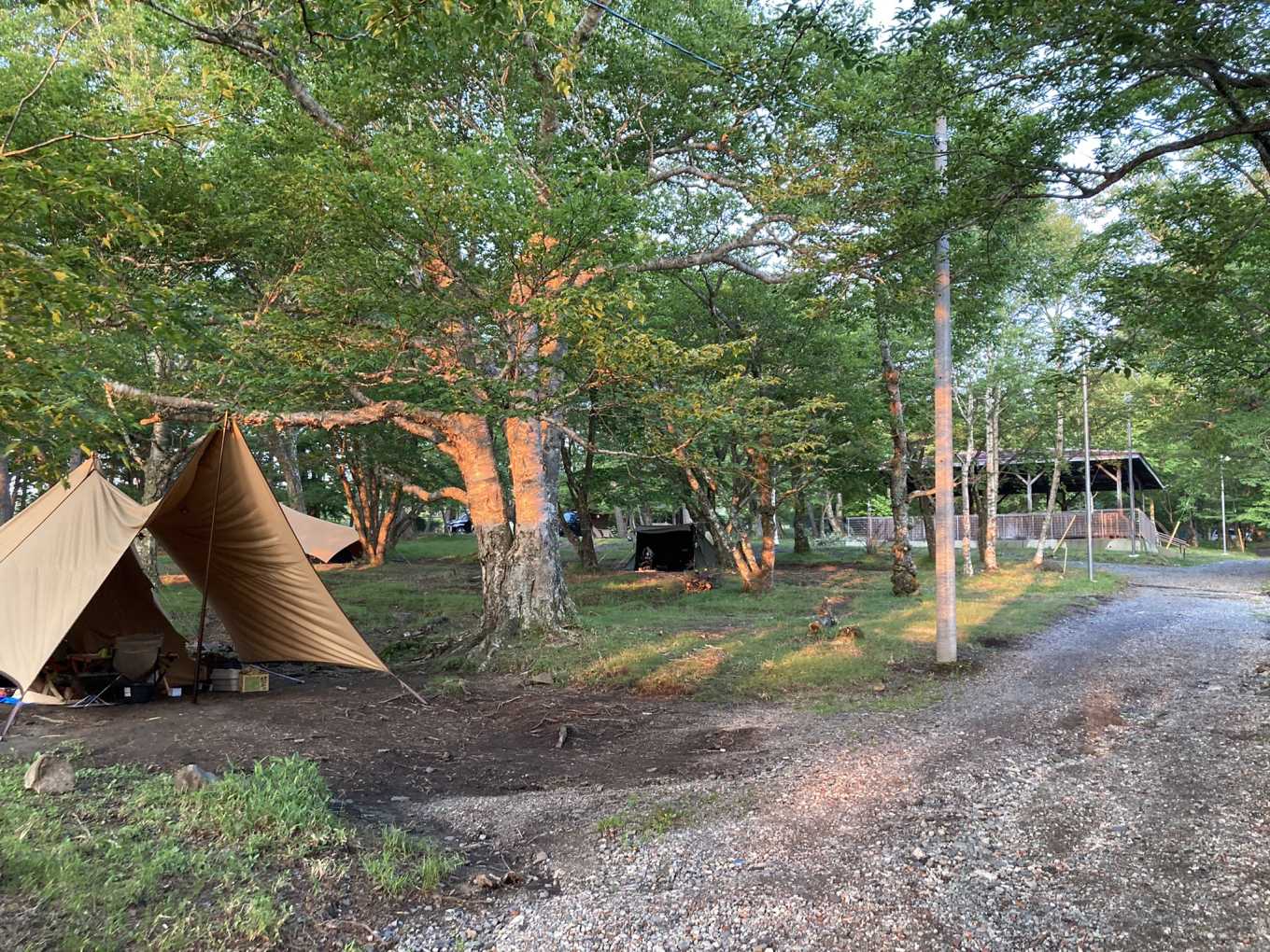 花林 標高1200m】花見ヶ原森林公園キャンプ場【桐生市】 | 館林くらし