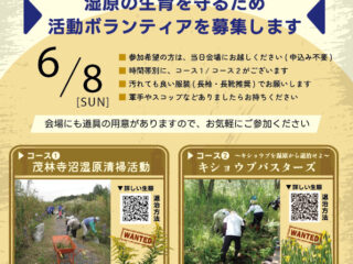 【ボランティア募集】茂林寺沼清掃活動&キショウブバスターズ@館林市 2025.6.8