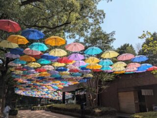 週末イベント情報・開店閉店 ～2025年7月13日【四県境】