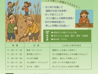 ヌマヨシカッターズ@茂林寺沼 2025.11.23