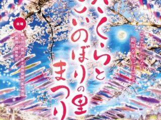 館林さくらとこいのぼりの里まつり 2025.3.20-5.6