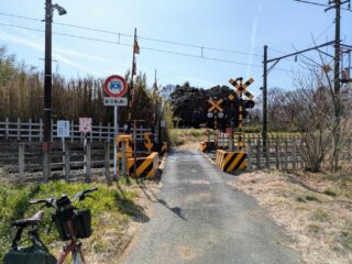 週末イベント情報・開店閉店 ～2026年3月22日【四県境】