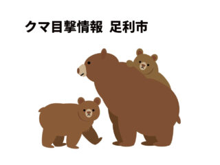 【速報】足利市クマ目撃情報 2026.4.21 7:20頃