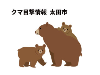 【速報】太田市クマ目撃情報 2026.6.8 19:00頃【原宿町・渡良瀬川】