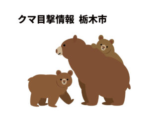 【速報】栃木市クマ目撃情報 2026.6.16 21:17頃【尻内町・国道293号】