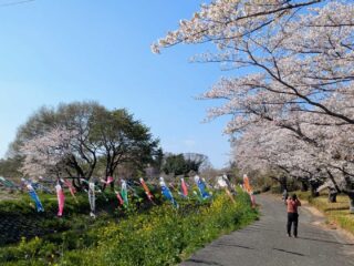 週末イベント情報・開店閉店 ～2026年4月12日【四県境】