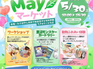科学館 May マーケット@館林市 2026.5.30