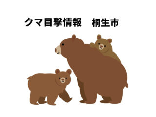 【速報】桐生市クマ目撃情報 2026.5.23 18:00頃【川内町】