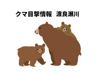 【渡良瀬川で今月3件目】足利市クマ目撃情報 2026.10.7【緑町、緑橋】