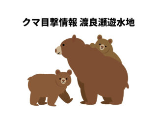 【速報】渡良瀬遊水地クマ目撃情報 2026.5.26 10:30頃