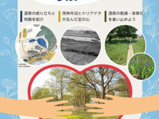 特別展「沼ろう!守ろう!茂林寺沼湿原」@館林市立資料館 2026.7.18-9.27
